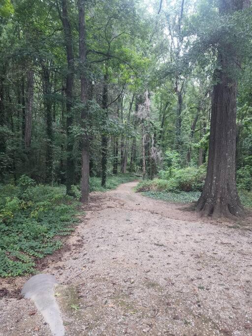 Spotless 4Br Near Clt Uptown, Fast Wi-Fi Appartement Charlotte Buitenkant foto